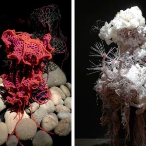 Szydełkowa rafa koralowa autorstwa sióstr Wertheim