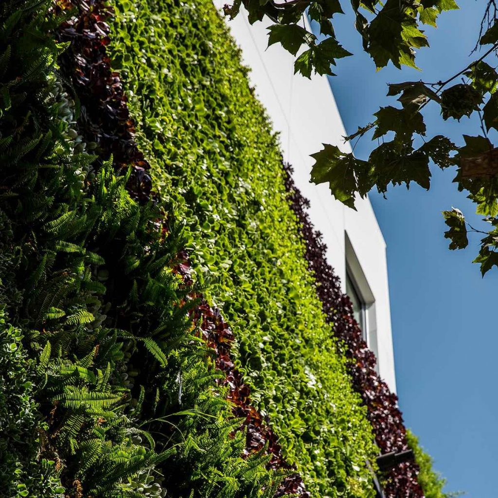 07mad_gardenhouse_green_wall_photo_by_manolo_langis