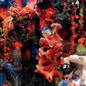 Szydełkowa rafa koralowa autorstwa sióstr Wertheim