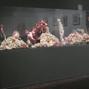 Szydełkowa rafa koralowa autorstwa sióstr Wertheim