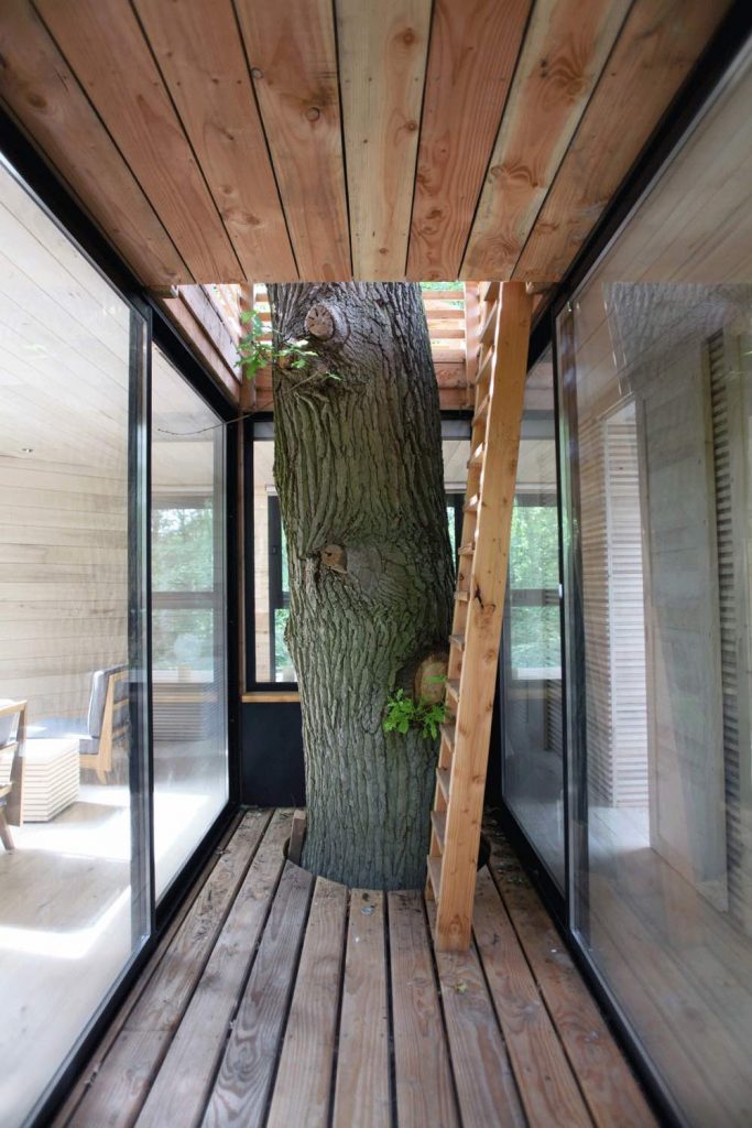 Atelier+marco LAVIT+-+ORIGIN+trees+house+20