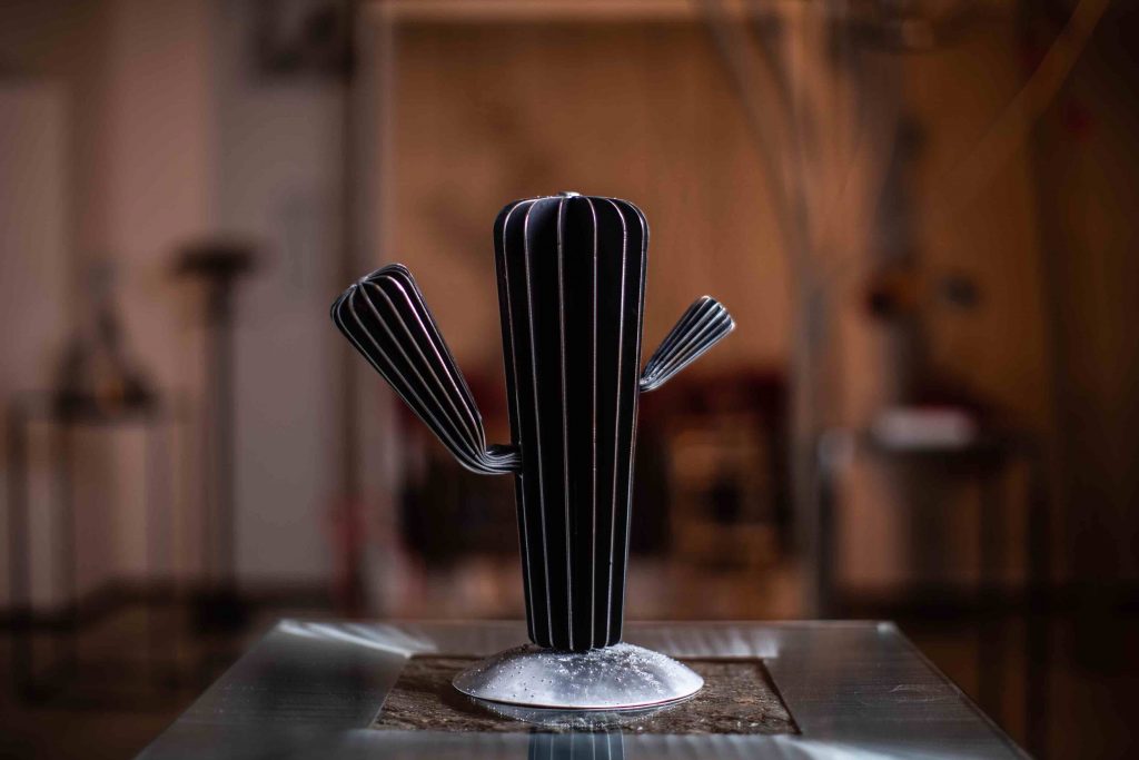 Bam Design_Piante_Cactus 30_Nero Gocce_Ph Gianluca Vassallo_02 rzemiosło i design