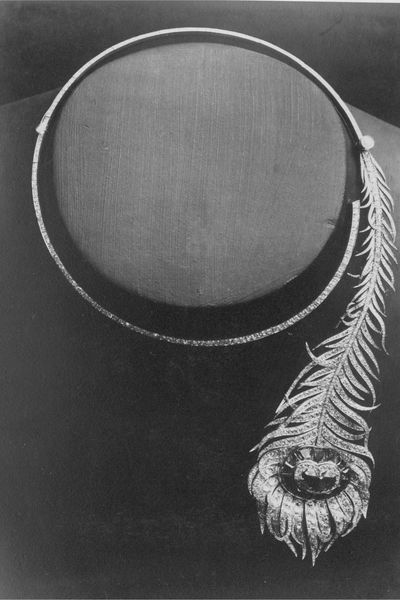 point-d-interrogation-plume-de-paon-1882