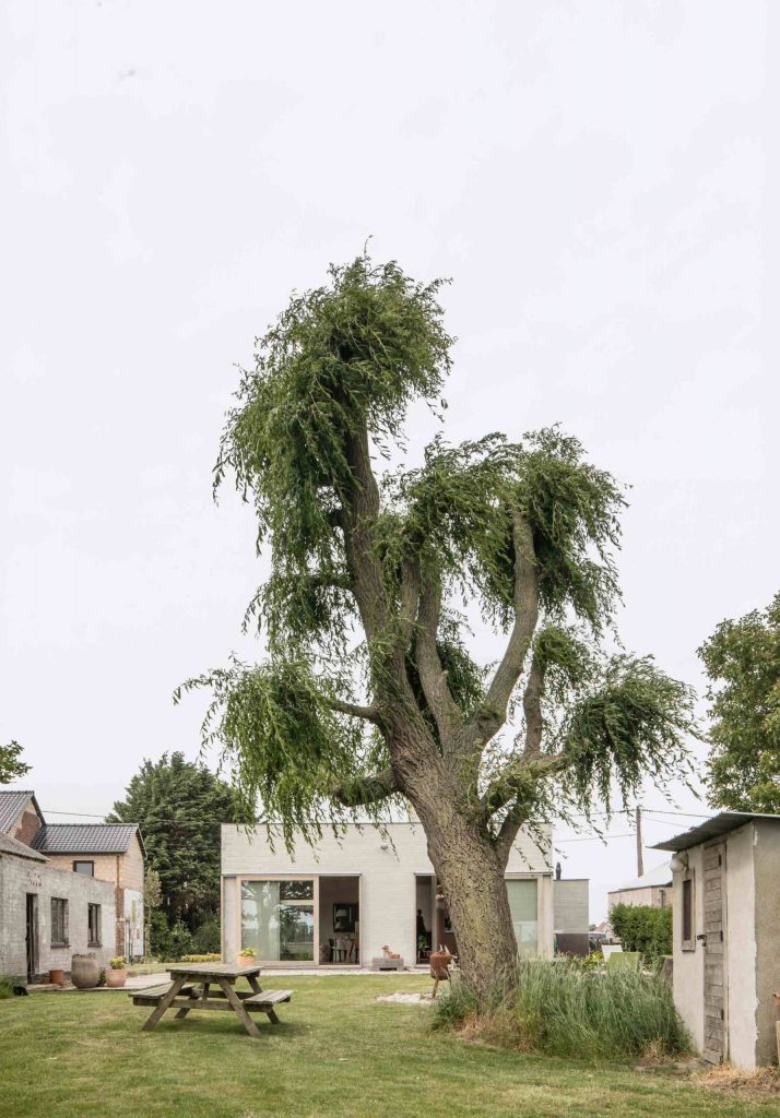 house-c-vl-graux-baeyens-architecten-belgia odnowiony bungalow 13