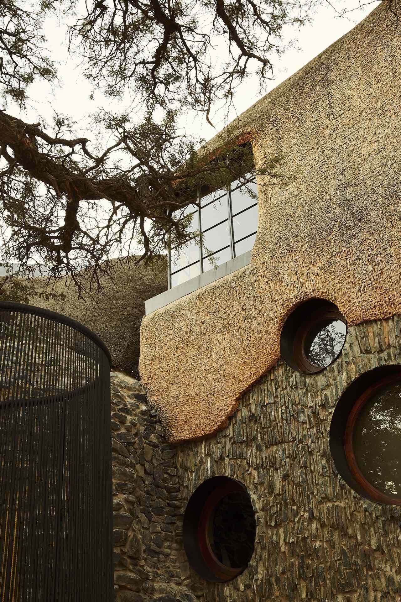 Gniazdo - dom inspirowany przyrodą Namibii - Point of Design